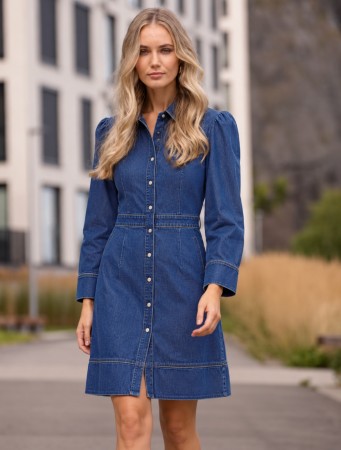 HILLARY DENIM DRESS 